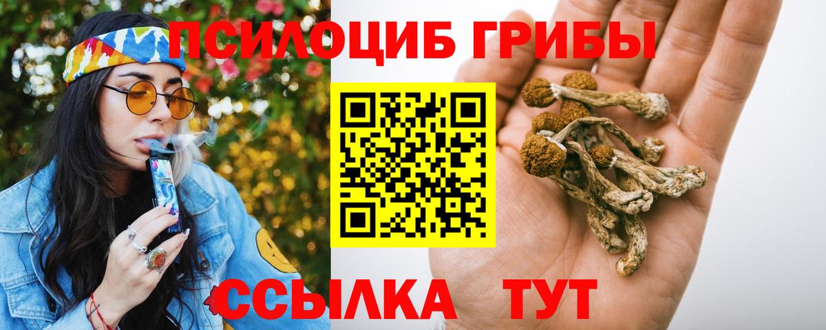 Галлюциногенные грибы Psilocybe Среднеуральск
