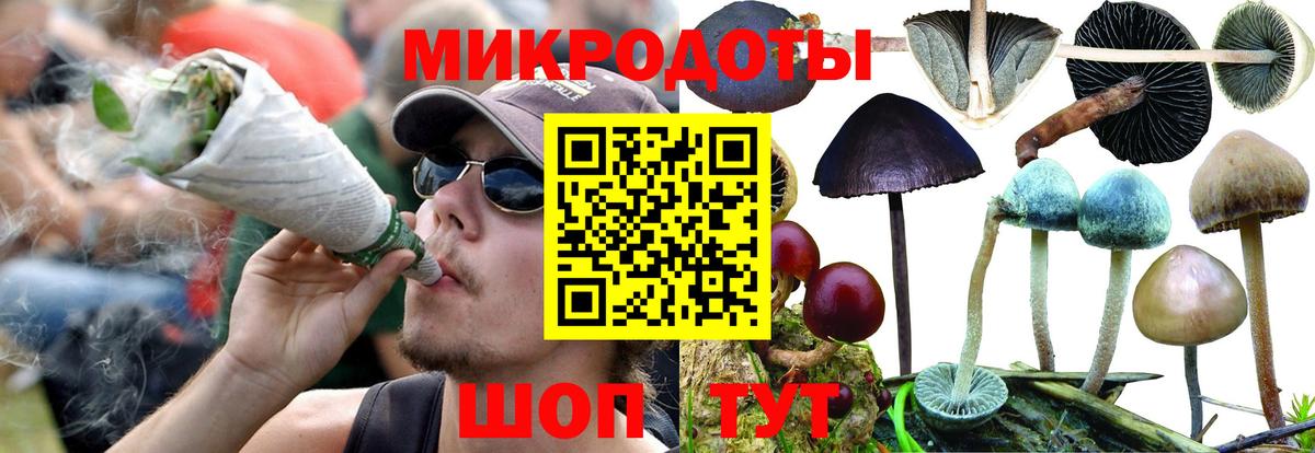 наркошоп  Псилоцибиновые грибы мухоморы  Вход с VPN  Среднеуральск 